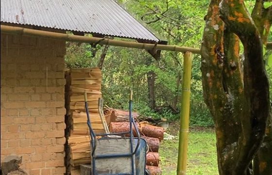雨の季節